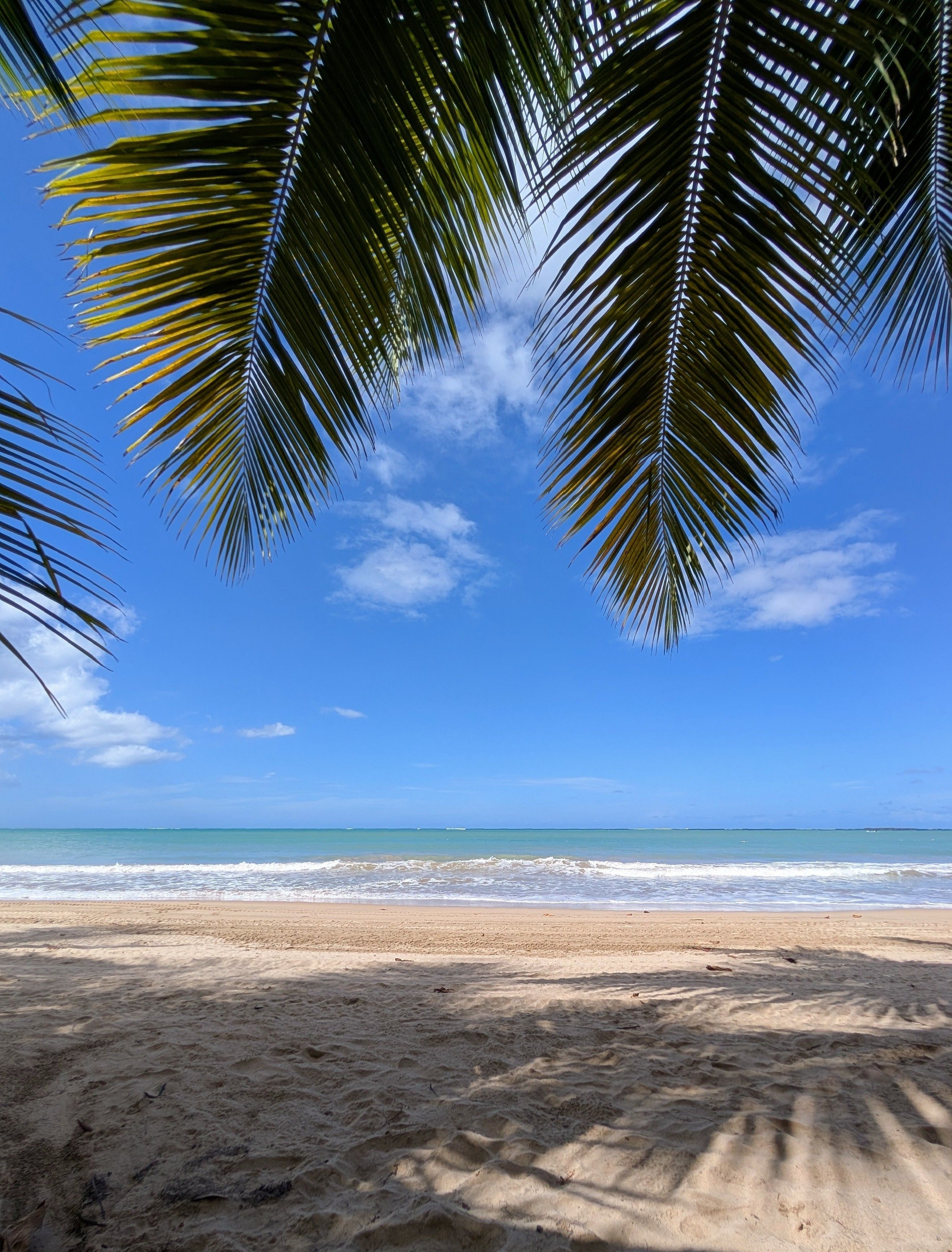 Caribbean vacation
